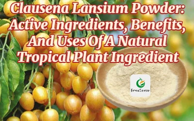 Clausena Lansium Pulver: Aktive ingredienser, fordele og anvendelser af en na...