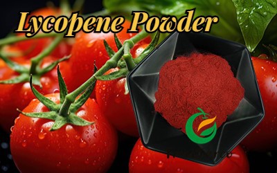 Lycopene Powder (2).jpg