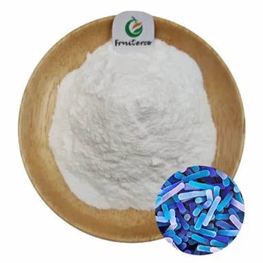 Lactobacillus bulgaricus pulver